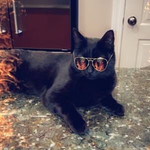 Meet your Posher, Misty